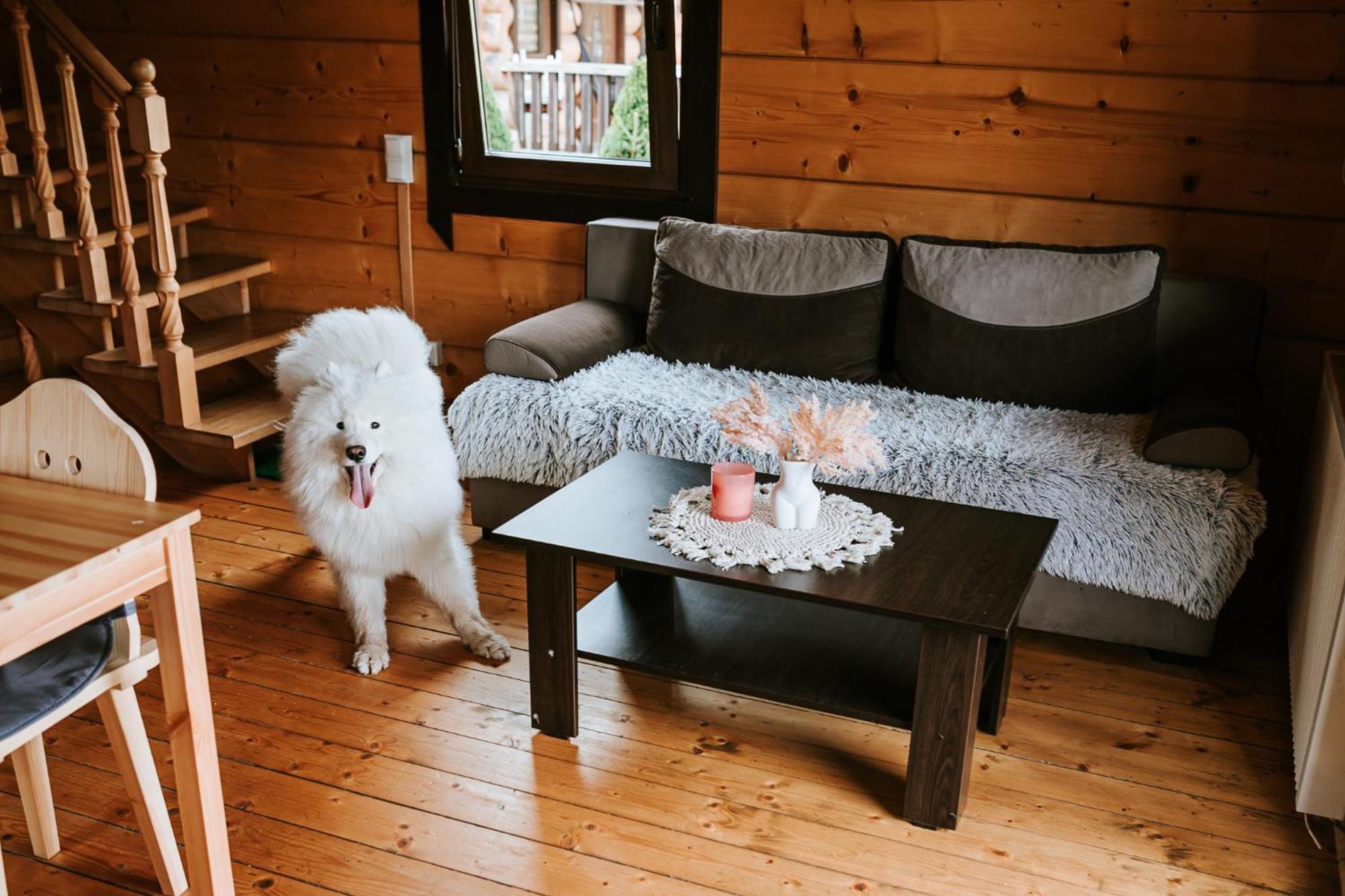 Domki,,Chatki Goralskie " Рабка Экстерьер фото
